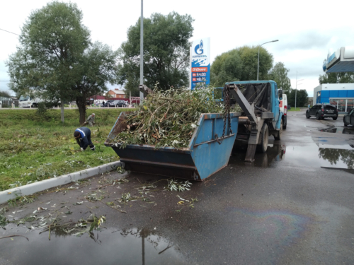 Погрузка и вывоз веток контейнером 8 куб. в г. Волоколамск